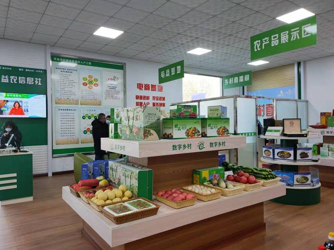 河北首个!乐亭启动数字乡村项目建设